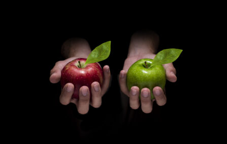 What Is the Difference Between Senior Living and Senior Housing?